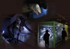 科学館ナイトツアー 科学館ナイトツアーイメージ画像