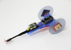ブラシカーを作ろう ブラシカーの作品例