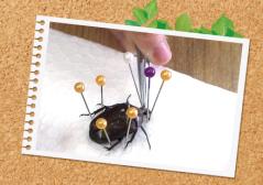 昆虫はかせとつくろう!昆虫標本<入門編> 昆虫標本つくり イメージ画像