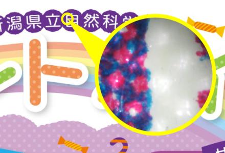 「印刷物」を顕微鏡でのぞいた画像
