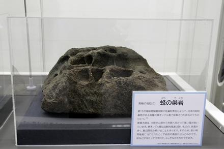 南極の岩石「蜂の巣岩」の画像