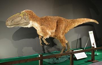 ユウティラヌスの復元生体モデル