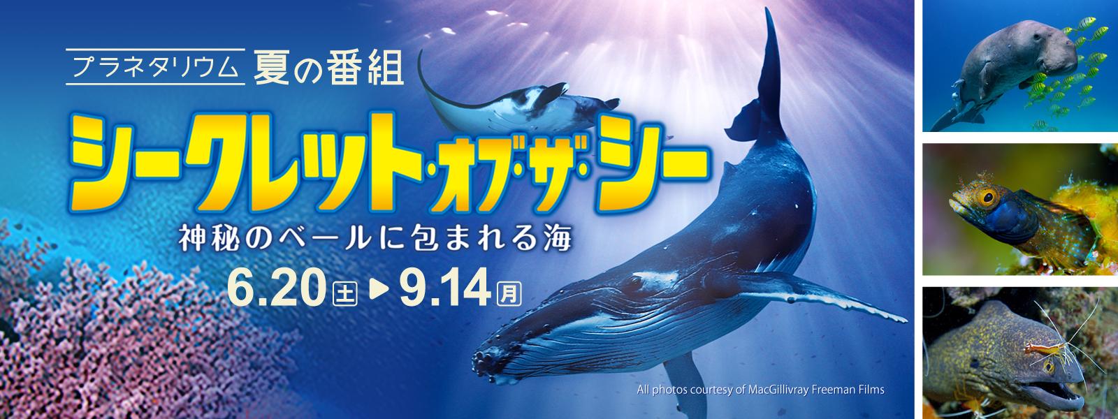 「シークレット・オブ・ザ・シー」スライド画像