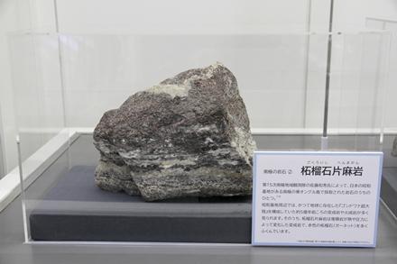 南極の岩石「柘榴石片麻岩」の画像