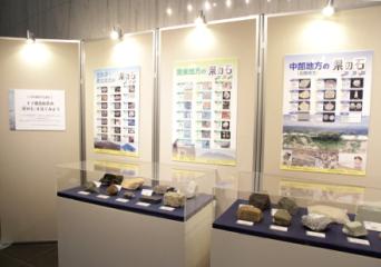 『県の石』の展示画像