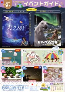 ae6d4bfc554bfedf998d0bd36f7f89