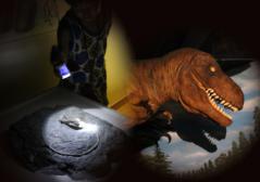 科学館ナイトツアーイメージ