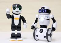 実演用ロボットの画像