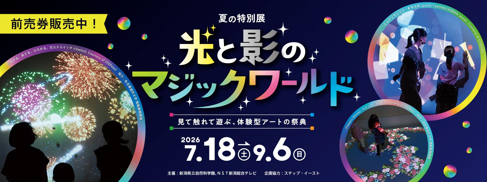 夏の特別展「光と影のマジックワールド～見て触れて遊ぶ、体験型アートの祭典～」スライド画像