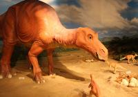 マイアサウラ劇場写真