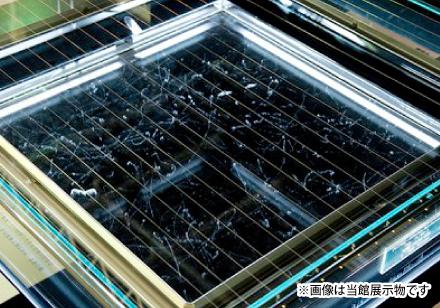 常設展示「霧箱」の画像